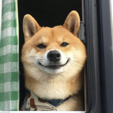 Avatar for telecomshy from gravatar.com