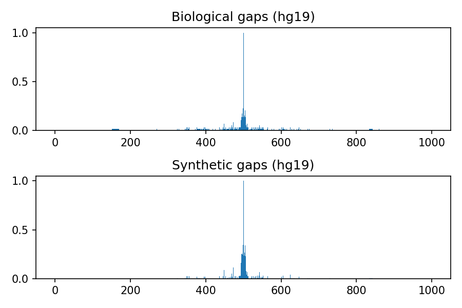 https://github.com/LucaCappelletti94/keras_synthetic_genome_sequence/blob/master/distributions/hg19.png?raw=true