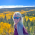 Avatar for beckynevin from gravatar.com