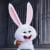Avatar for jqjiang from gravatar.com