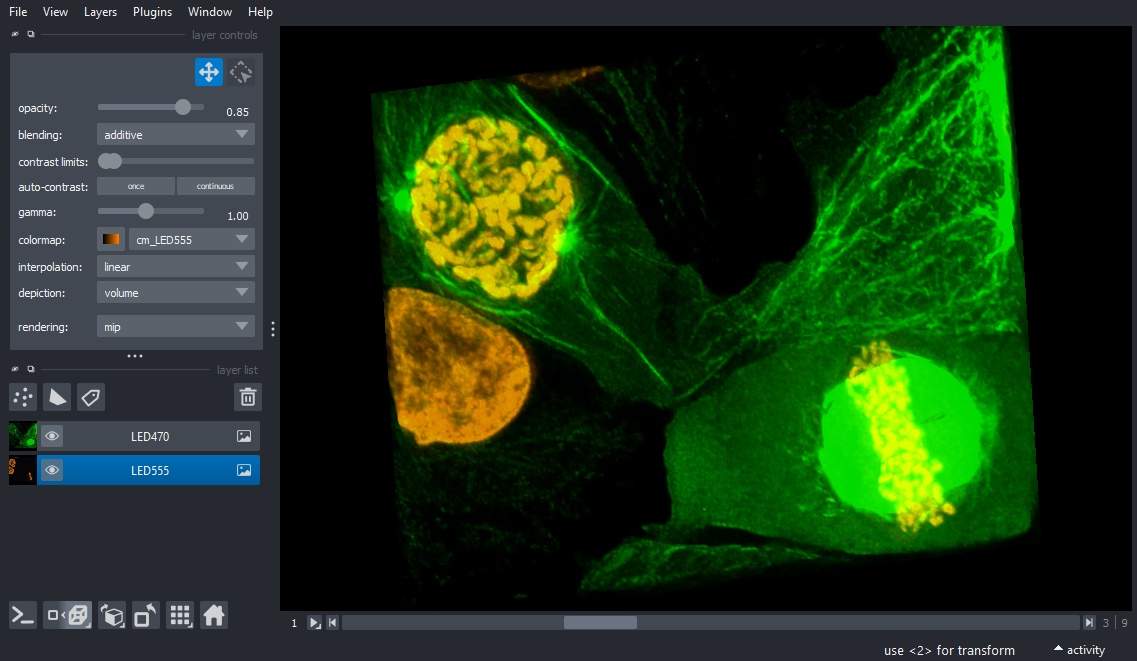 Sample Data - 5D Stack