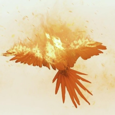 Avatar for Pollo from gravatar.com