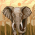 Avatar for DivyamSamarwal from gravatar.com