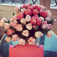 Avatar for Cara from gravatar.com