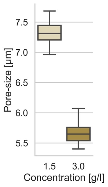 boxplot of poresize between two differently concentrated collagen matrices