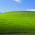 Avatar for GSichelero from gravatar.com