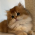 Avatar for veroyoon from gravatar.com