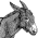 Avatar for Boldewyn from gravatar.com