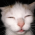 Avatar for DivineLord from gravatar.com