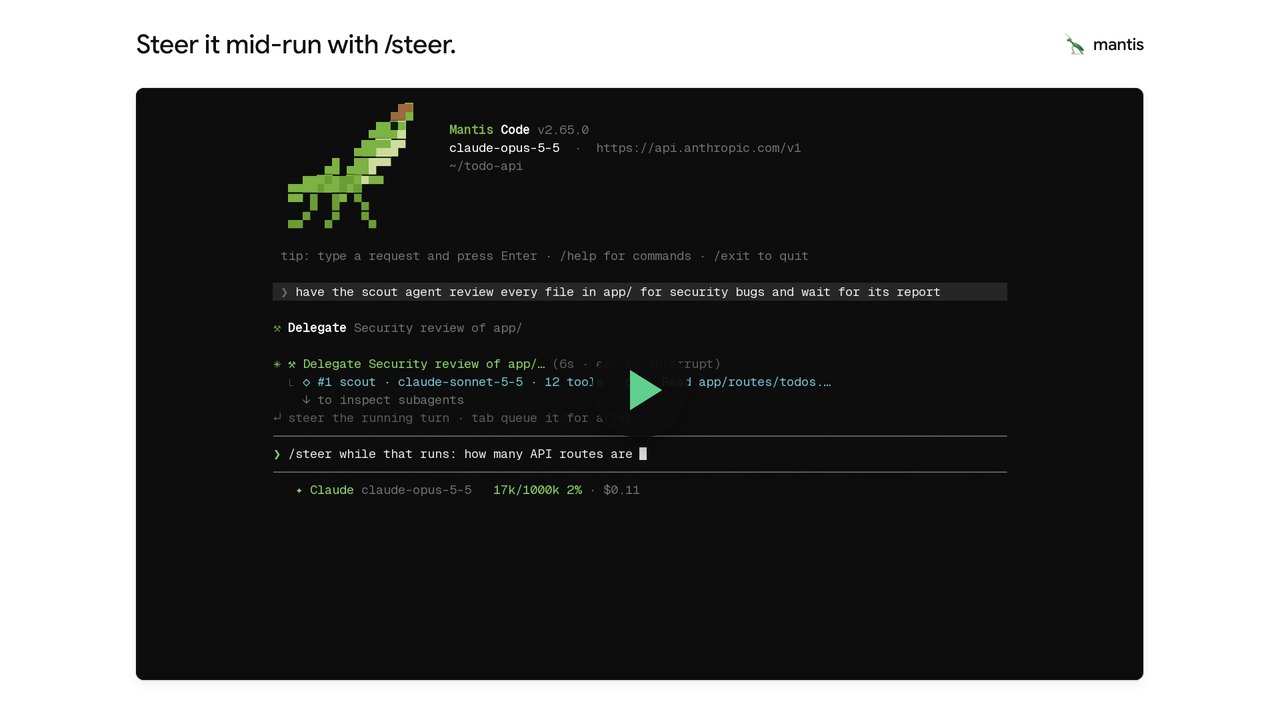 Steer your agent while it works