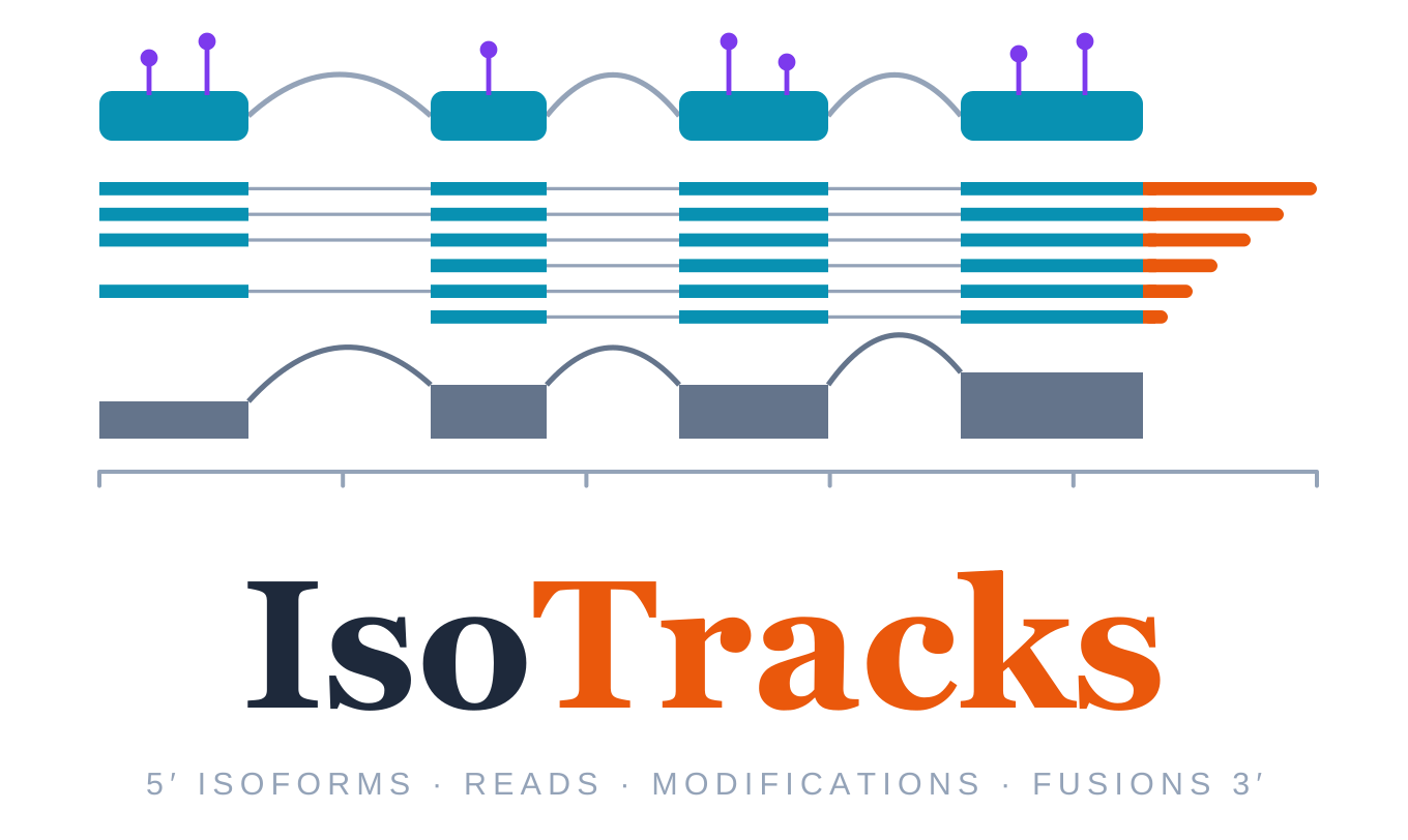 IsoTracks: isoforms, reads, modifications and fusions