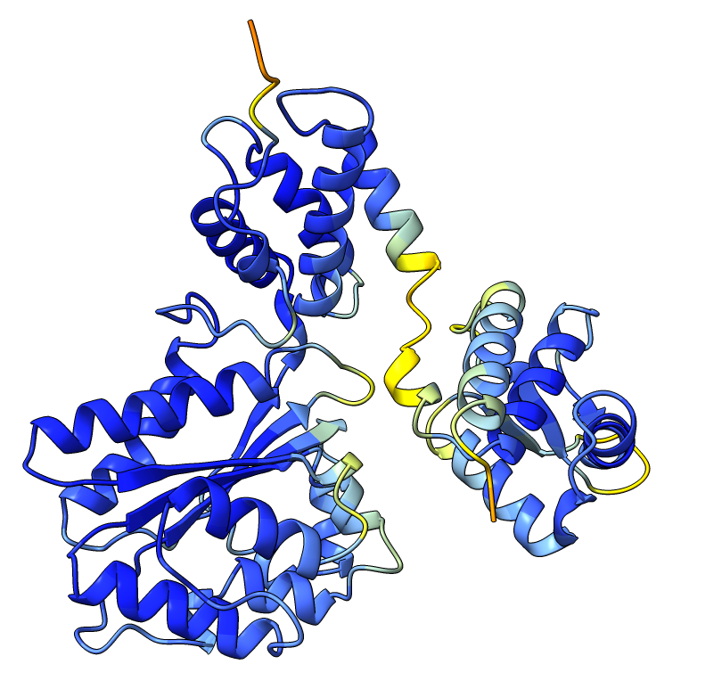 Q9YFU8 AlphaFold structure