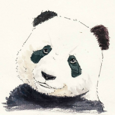Avatar for ShawnYan2026 from gravatar.com
