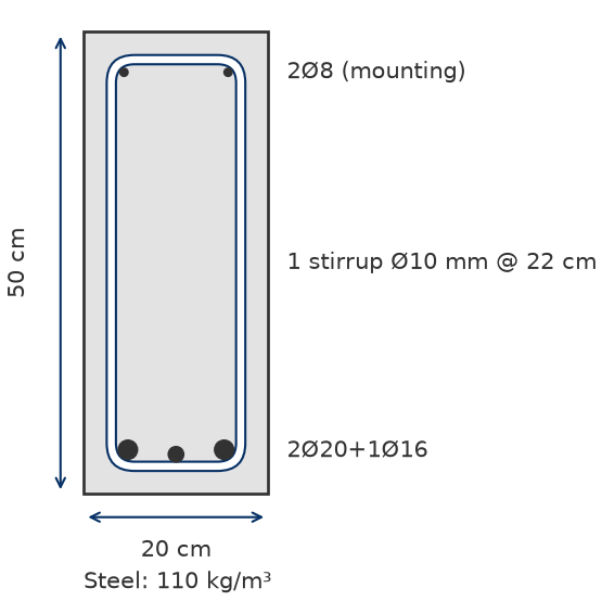 Designed section of beam B101