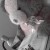 Avatar for thangnt from gravatar.com