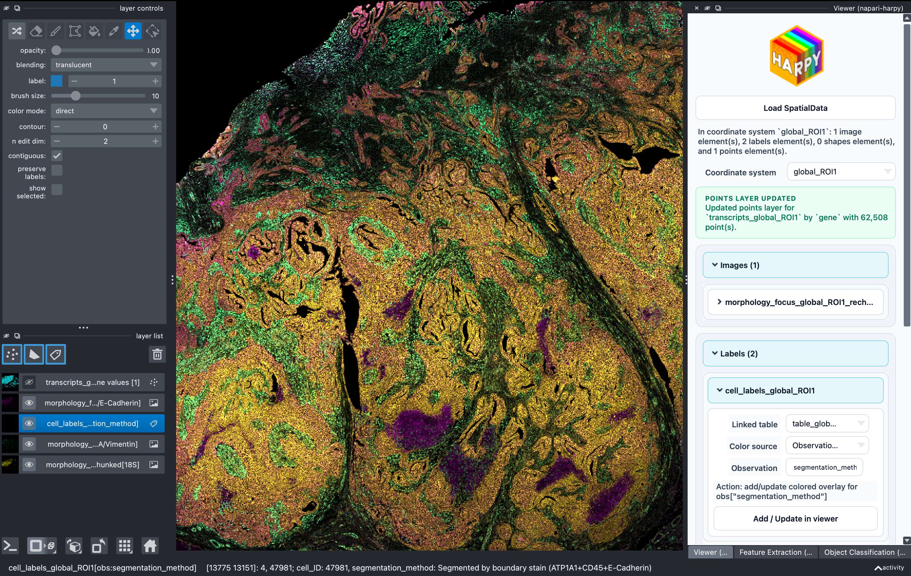 napari-harpy viewer example screenshot