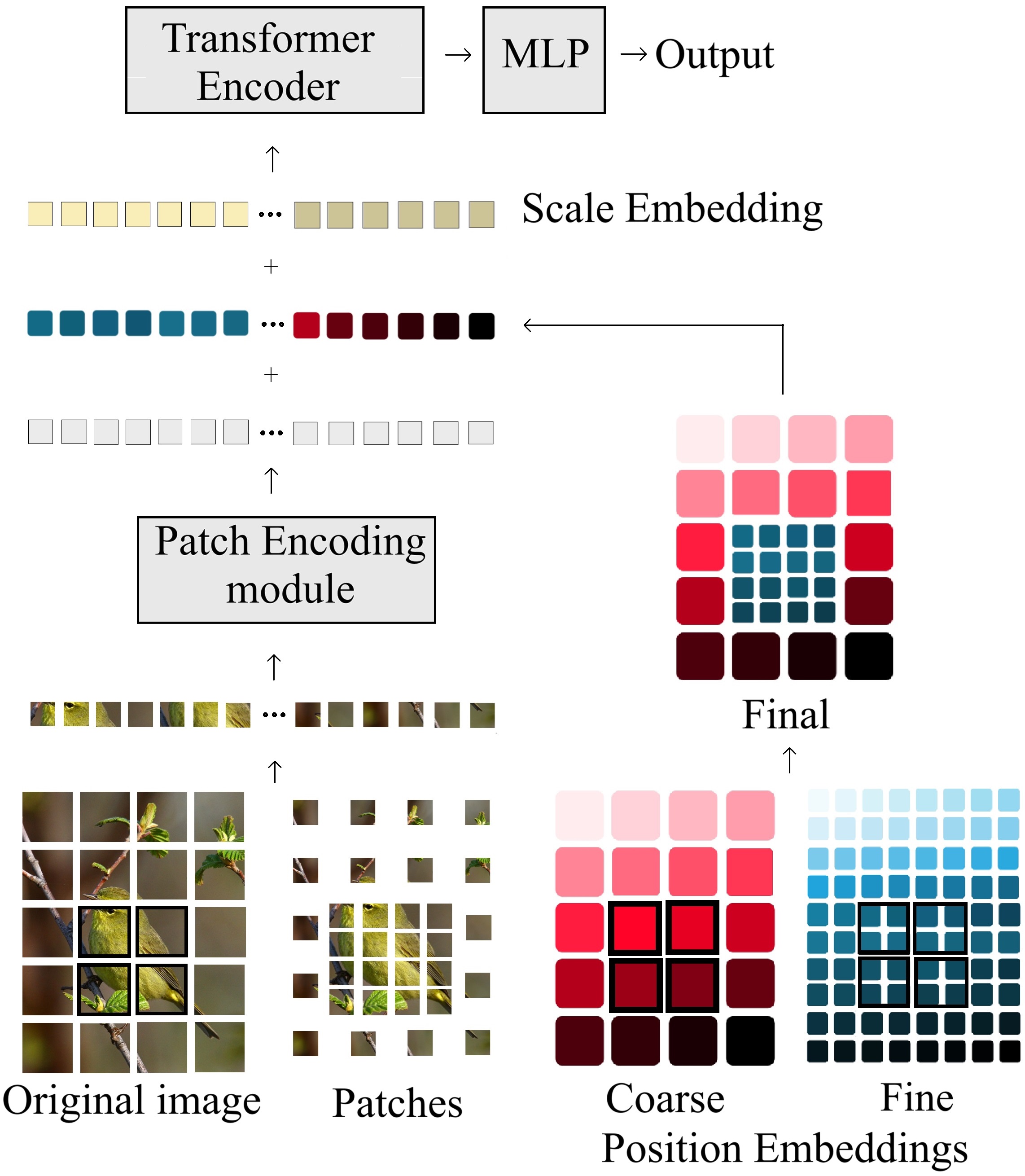 Overall framework