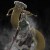 Avatar for davidpichler from gravatar.com