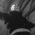 Avatar for spideystreet from gravatar.com