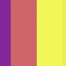 Avatar for Aliza Rayman from gravatar.com