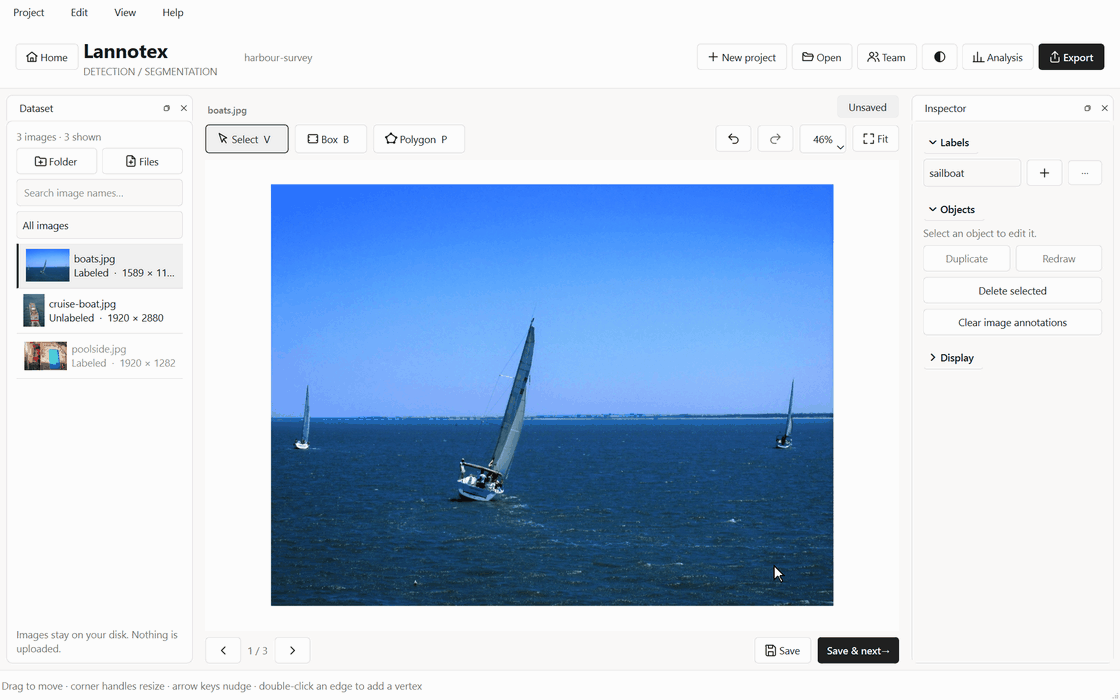 Drawing two boxes and a polygon on a cat photo in Lannotex, then saving and moving to the next image