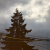 Avatar for astein10 from gravatar.com