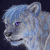 Avatar for snowkylin from gravatar.com