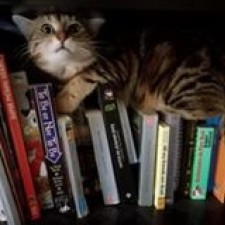 Avatar for rdunklau from gravatar.com