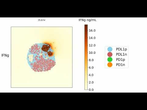 25% PD1+ T cells
