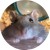 Avatar for Watson-Sei from gravatar.com