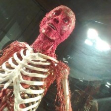 Avatar for Neil from gravatar.com