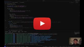 demo video