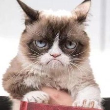 Avatar for Xiang Zhang from gravatar.com