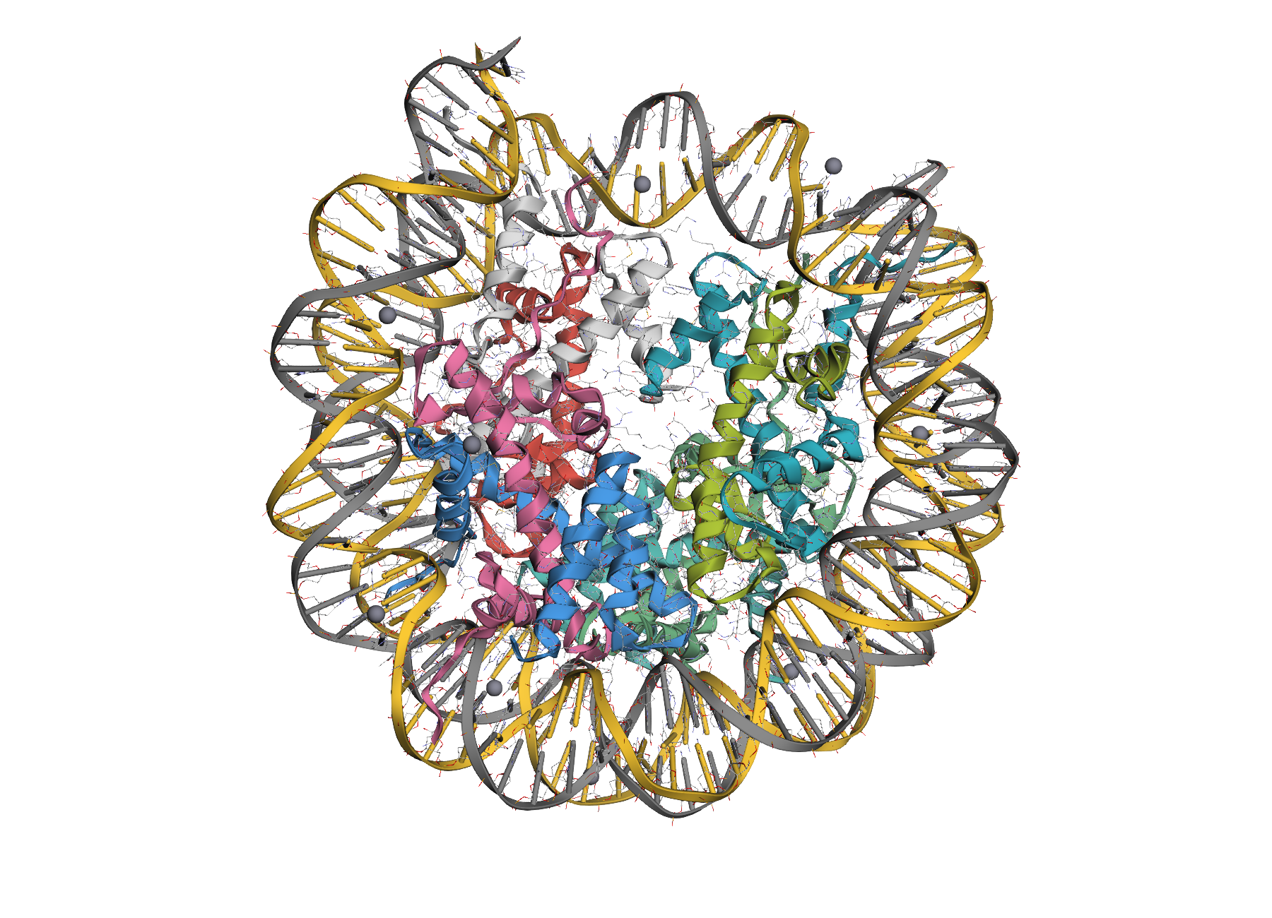 2CV5 protein-DNA complex rendering