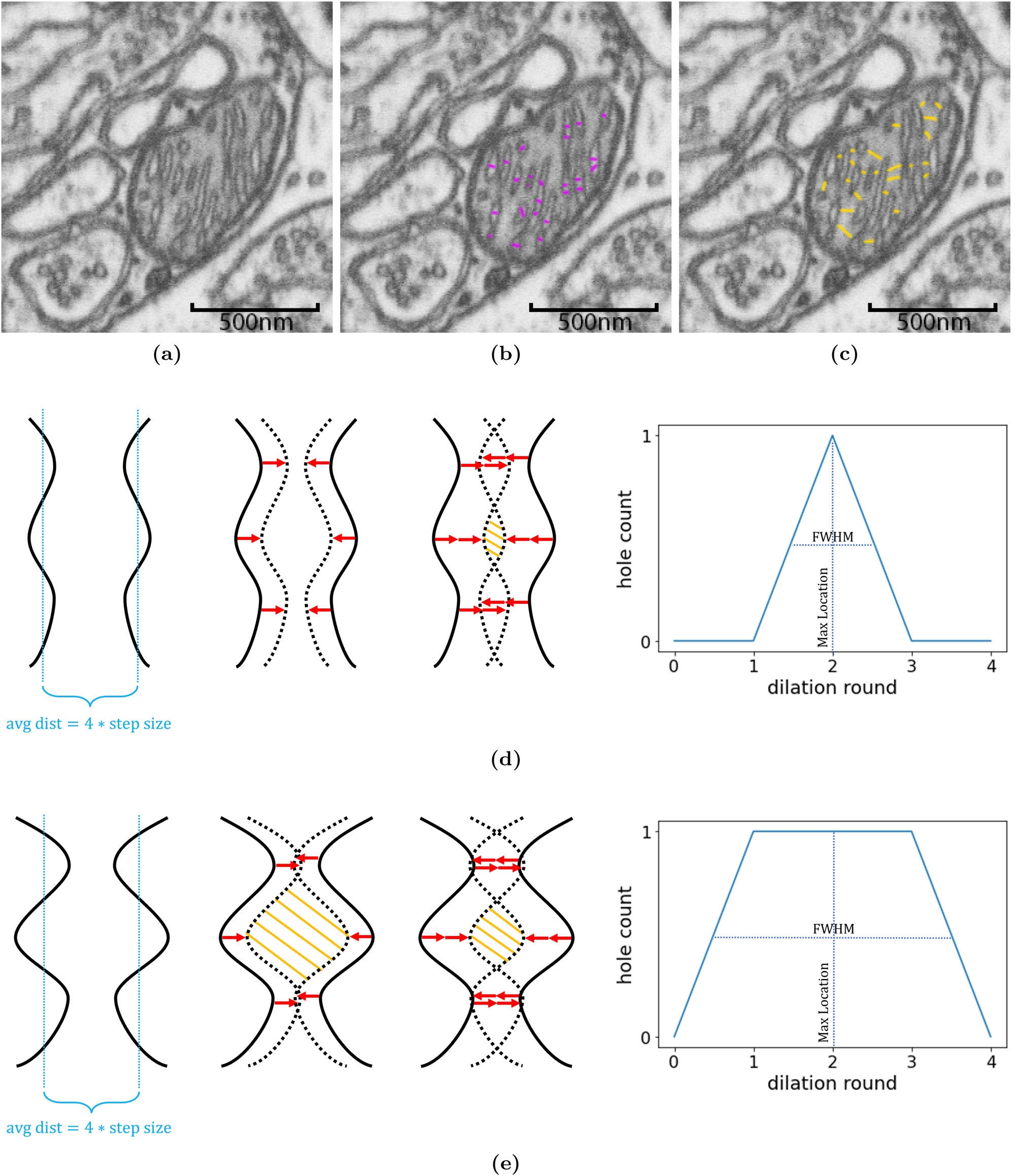Persistent homology standardises distance measurements