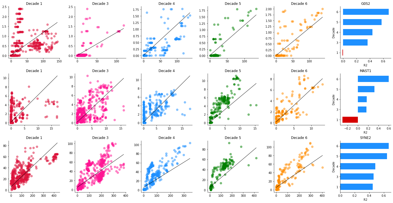 portrait of rhomeostatis genes