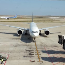 Avatar for Jing from gravatar.com