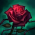 Avatar for itsmeuknow from gravatar.com