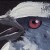 Avatar for e1y4r from gravatar.com