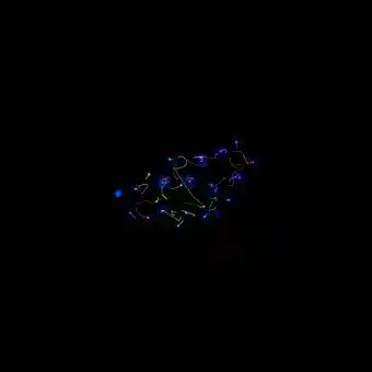 C. elegans — 4D nuclei-tracking timelapse
