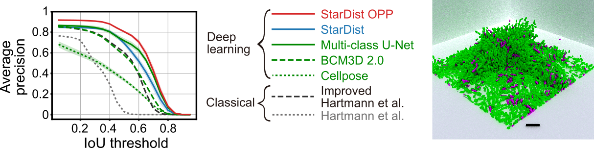 https://github.com/gatoniel/merge-stardist-masks/raw/main/images/graphical-overview.png