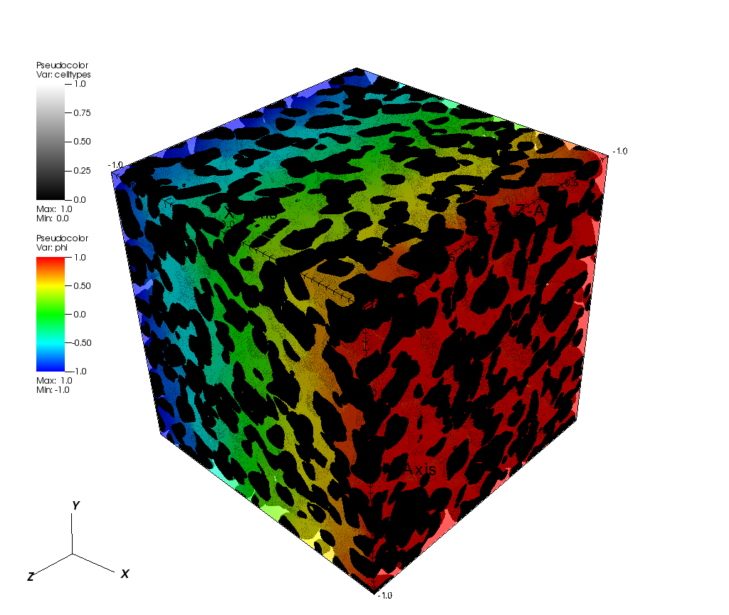 3D visualisation showing a concentration gradient across a porous microstructure, ranging from blue (low concentration) on one side to red (high concentration) on the other.