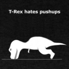 Avatar for Rex Kim from gravatar.com