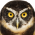 Avatar for kstark from gravatar.com