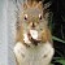 Avatar for Tommy from gravatar.com