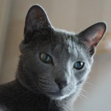 Avatar for Sanghyo Lee from gravatar.com