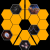 Avatar for studentofstars from gravatar.com
