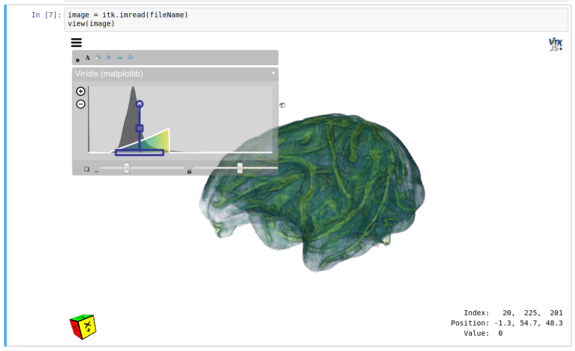 Monkey brain volume rendering