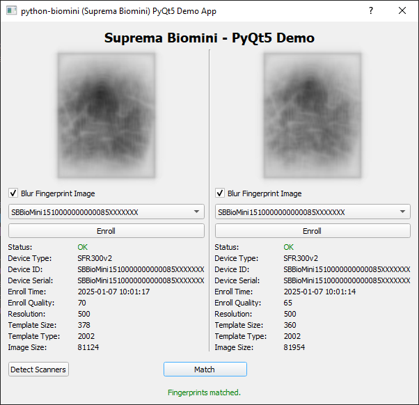 PyQt5 Demo Screenshot