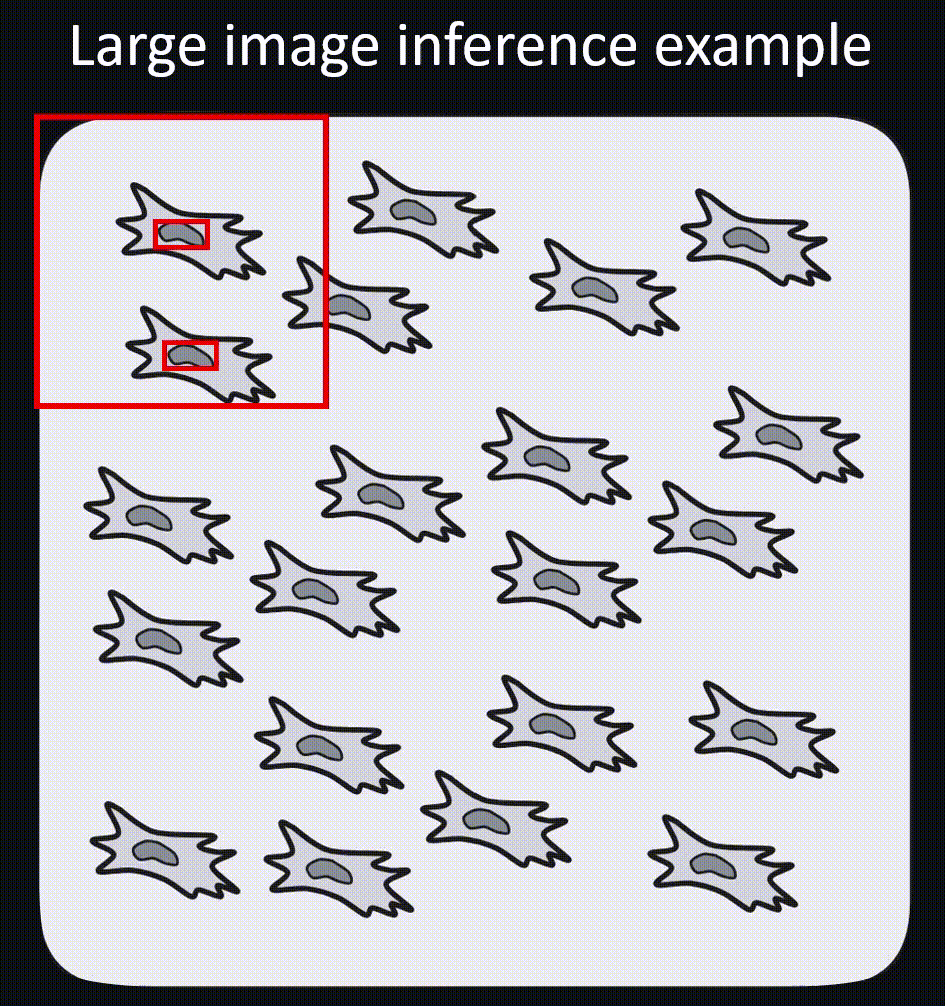 Image didn't load
